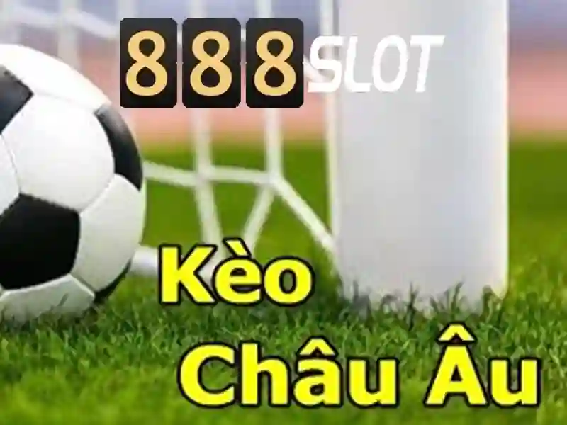 💎xử phạt hành vi tổ chức đánh bạc💎