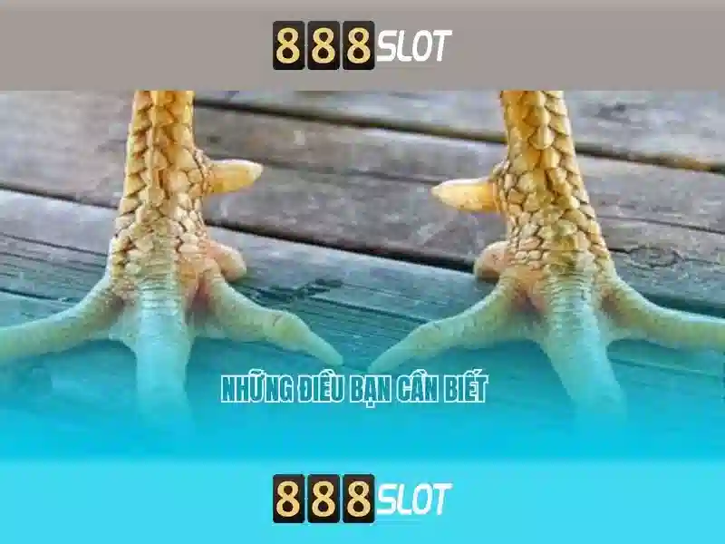 888SLOT – Ứng Dụng Slot Đỉnh Cao Với Giao Diện Hiện Đại Và Trải Nghiệm Tốt Nhất 2026 - 888slot