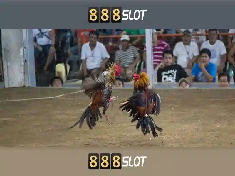 💎ggpoker slots💎