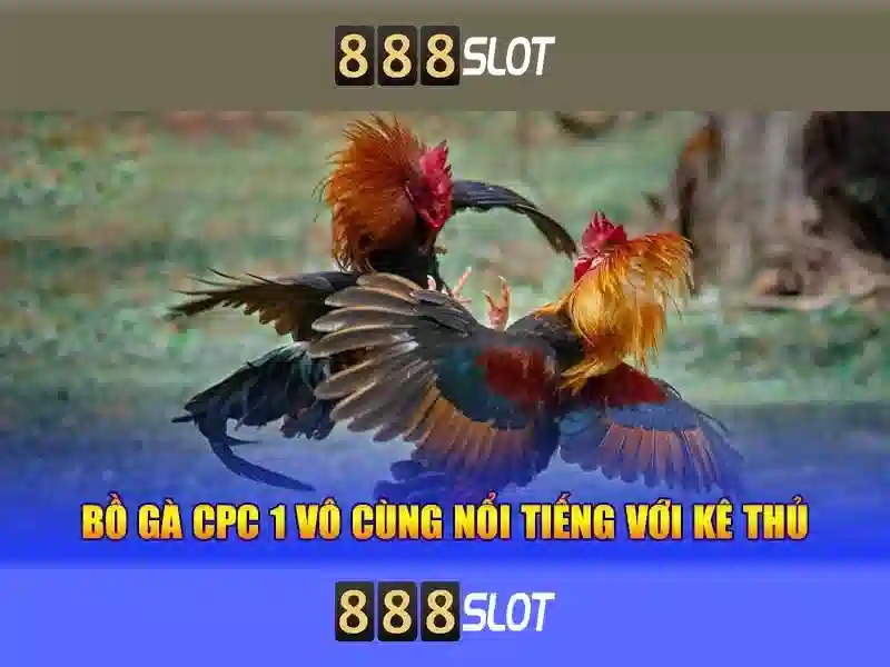 888SLOT chính hãng - 888slot