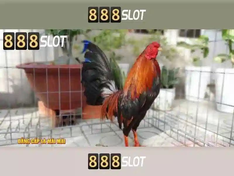 💎fa fa fa slots free💎