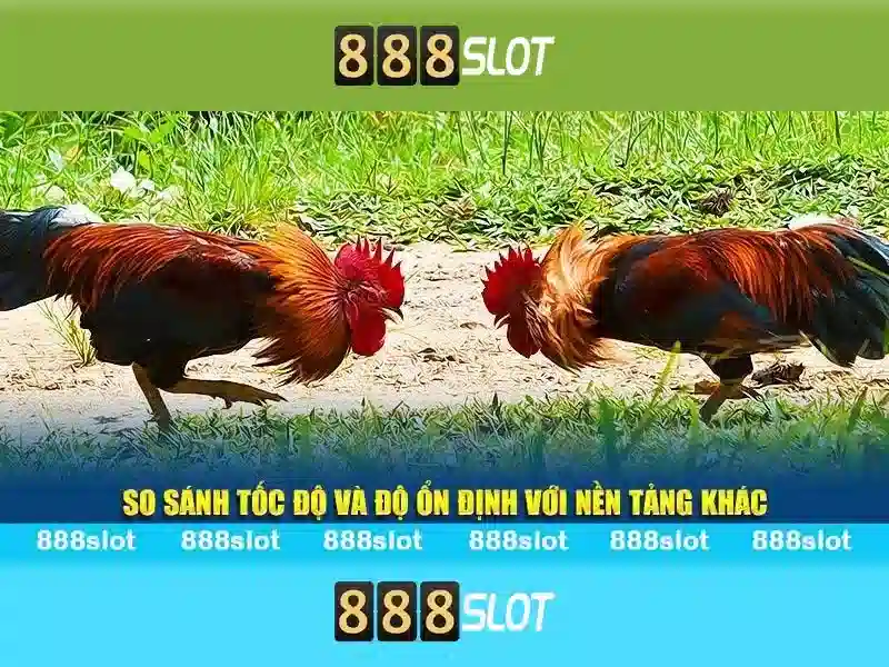💎soi kèo nhà cái cúp💎