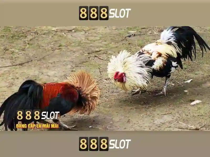 💎888slot slot free sign up bonus💎