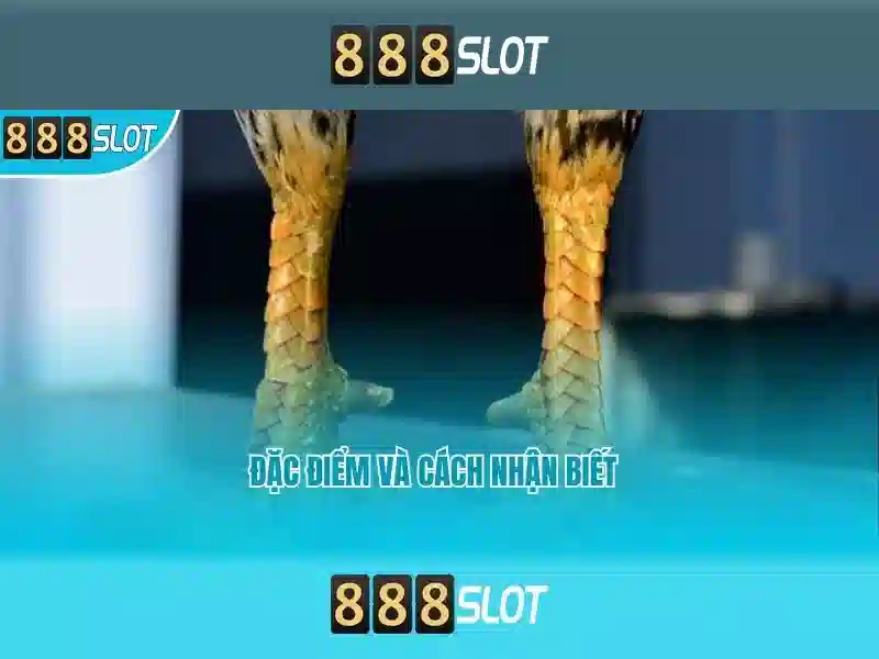 💎how to win xn88 super ace💎