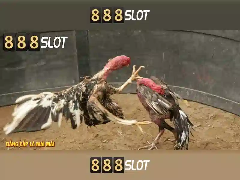 💎trang nhà cái esport mới💎
