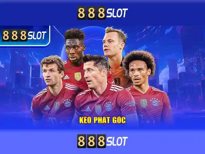 💎cước dù câu cá💎