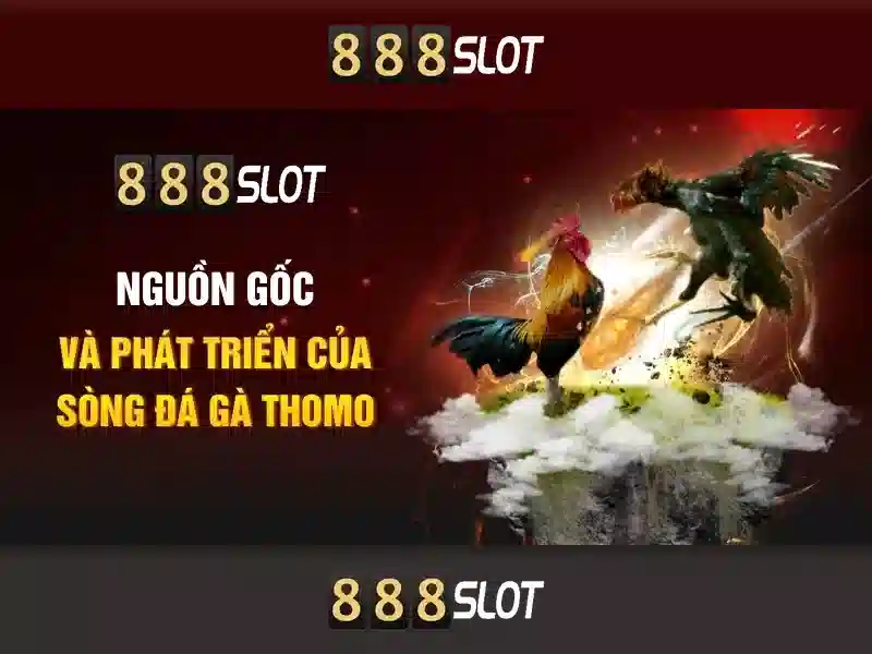 💎kèo nhà cái ero hôm nay💎