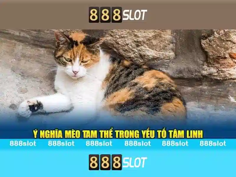 💎slots payout💎