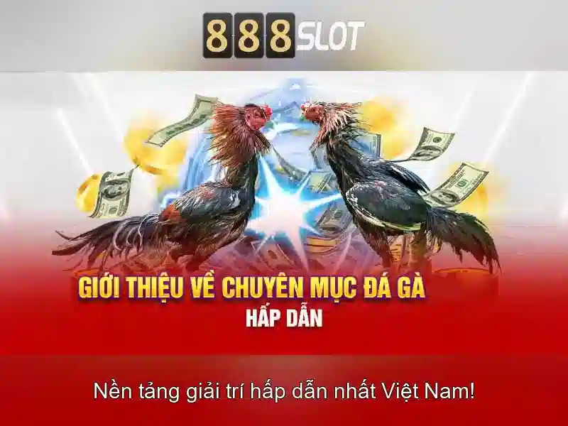 💎tổ chức đánh bạc và đánh bạc💎