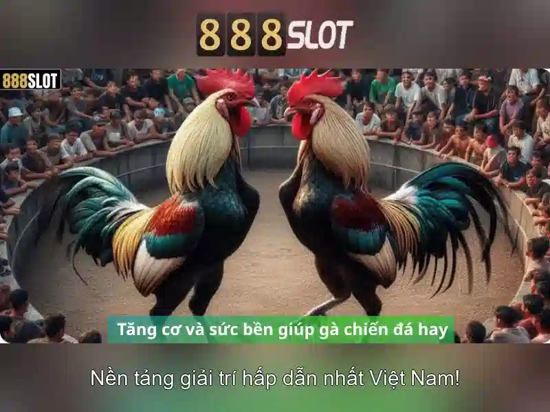 💎kèo cá cược đá banh💎