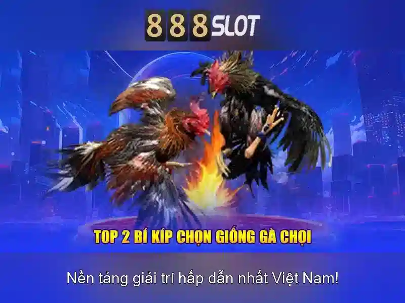 💎tong hop nha cai uy tín💎