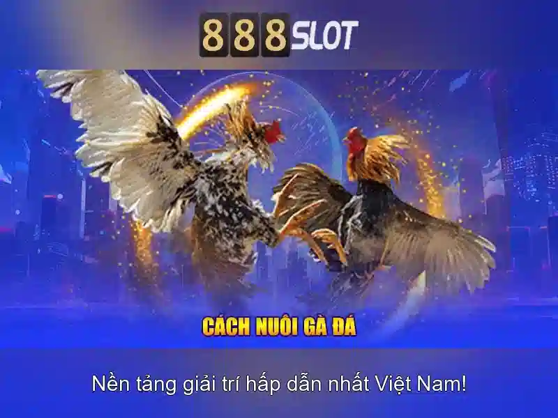 💎fun88 nhà cái newcastle💎