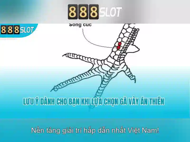 💎lucky 88 slot machine for sale💎